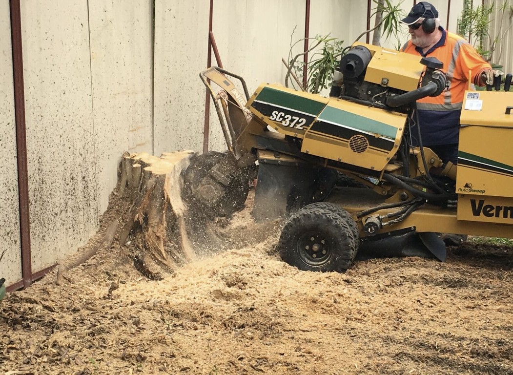 Professional stump grinding and removal service in Salina, KS